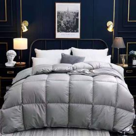 Down Duvet, Winter Duvet, Goose Down Duvet Core, Air Conditioner (Option: Grey-220* 240cm-4)